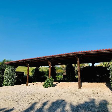 8380 Agriturismo L'Oleandro มอนเตเมราโน ภายนอก รูปภาพ