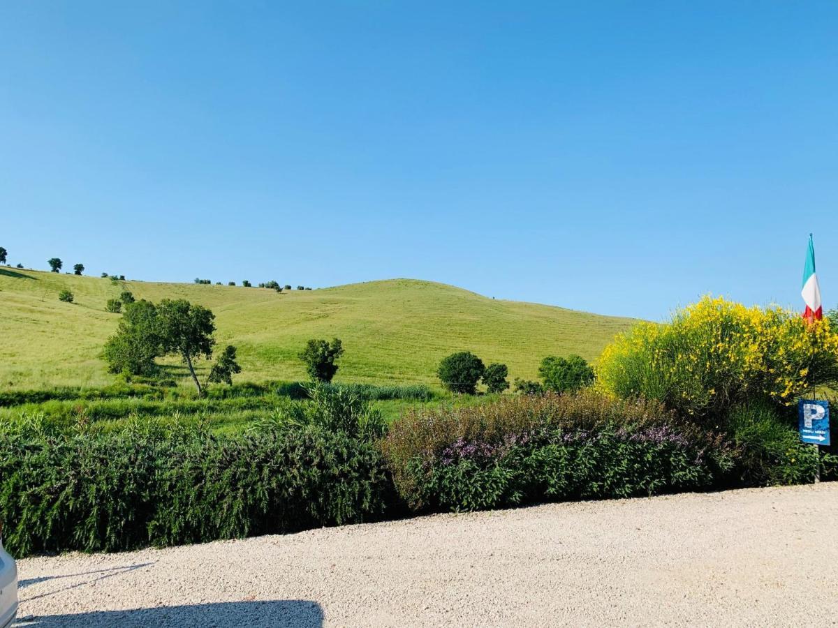 8380 Agriturismo L'Oleandro มอนเตเมราโน ภายนอก รูปภาพ