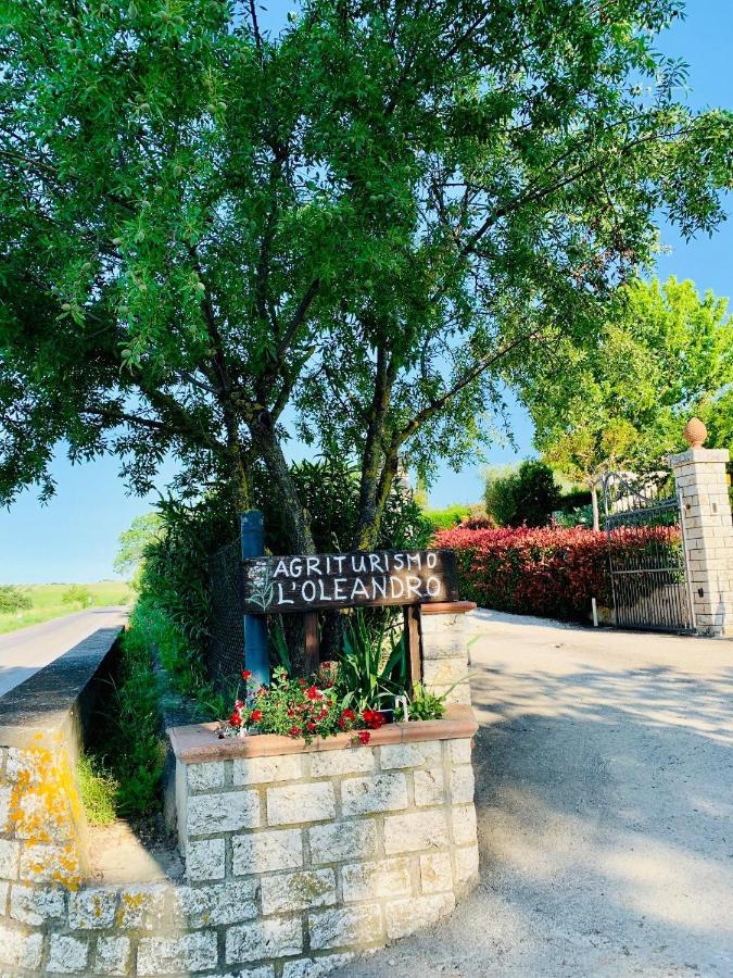 8380 Agriturismo L'Oleandro มอนเตเมราโน ภายนอก รูปภาพ