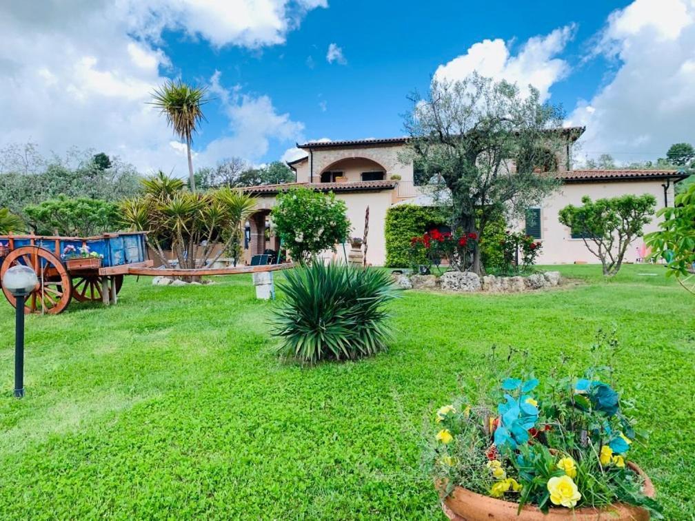 8380 Agriturismo L'Oleandro มอนเตเมราโน ภายนอก รูปภาพ