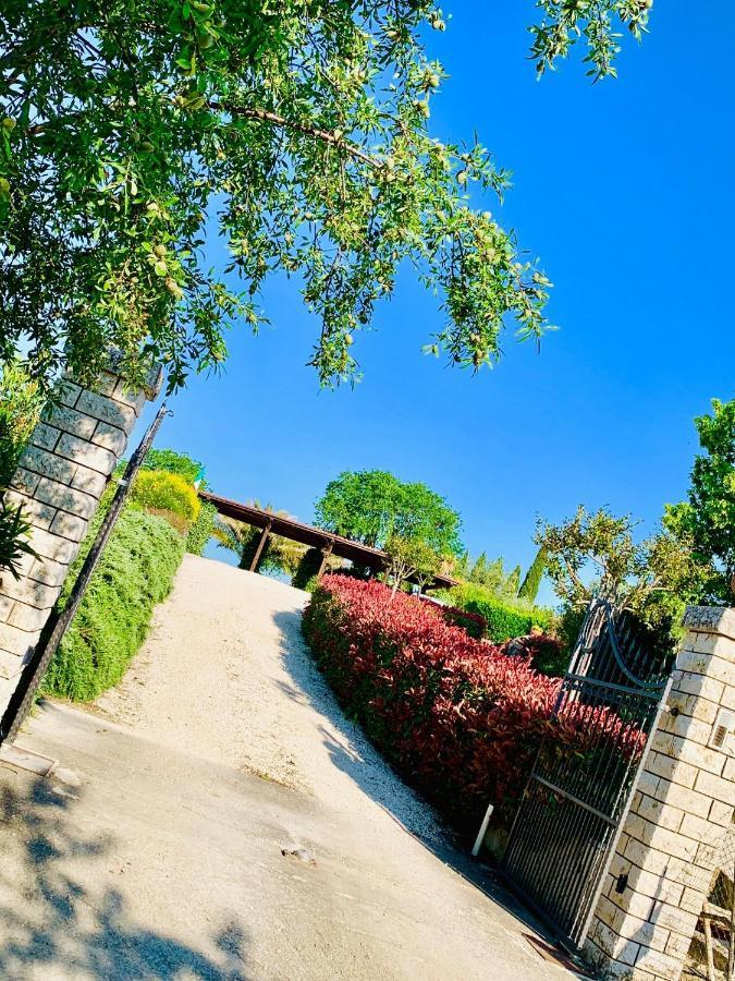 8380 Agriturismo L'Oleandro มอนเตเมราโน ภายนอก รูปภาพ